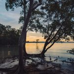 anton dee journal singapore dvsn august 2018-5