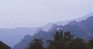 miri national park sarawak