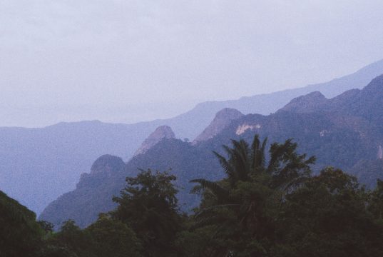 miri national park sarawak
