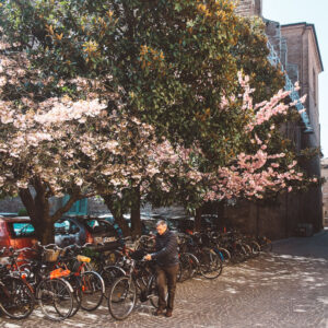 italy 2015 ferrara blogger florence street style architecture flower blossom